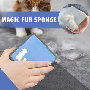 Magic Sponge , Catch All the Animal Hair